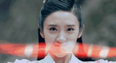 分享一下精美的狗粮,推荐一个平价又好的狗粮吧