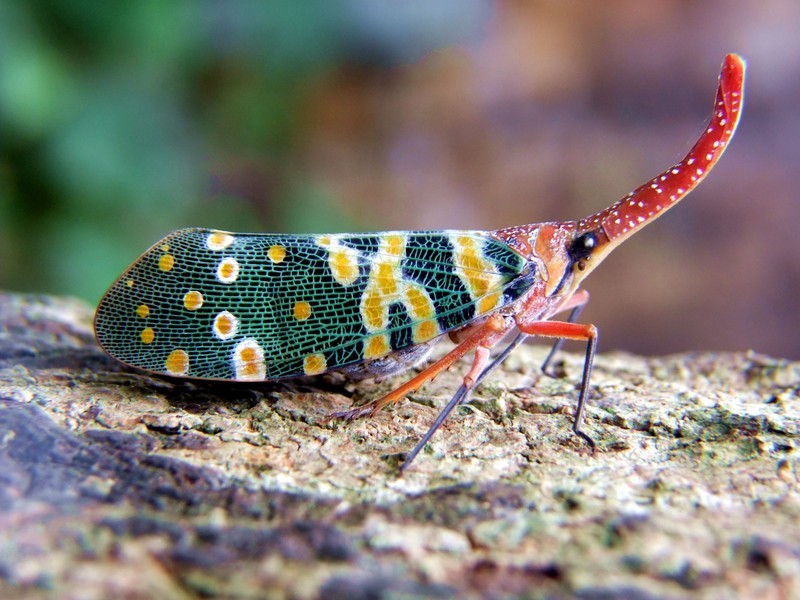 回忆一下2018年的神兽们,记录曾经神兽们的点点滴滴