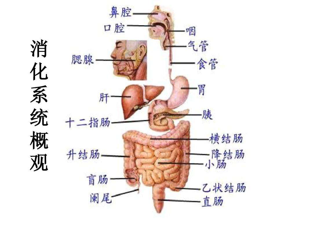 当你的身体很疲惫时,当你睡着了还在继续工作
