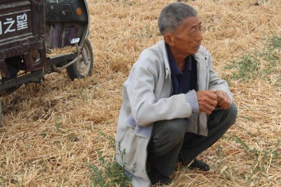 套马的汉子最威武视频,套马的汉子雄壮吗