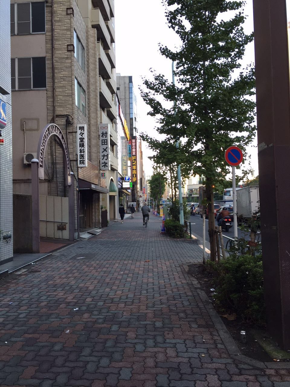 日本物语落樱下的邂逅,浪漫的日本物语