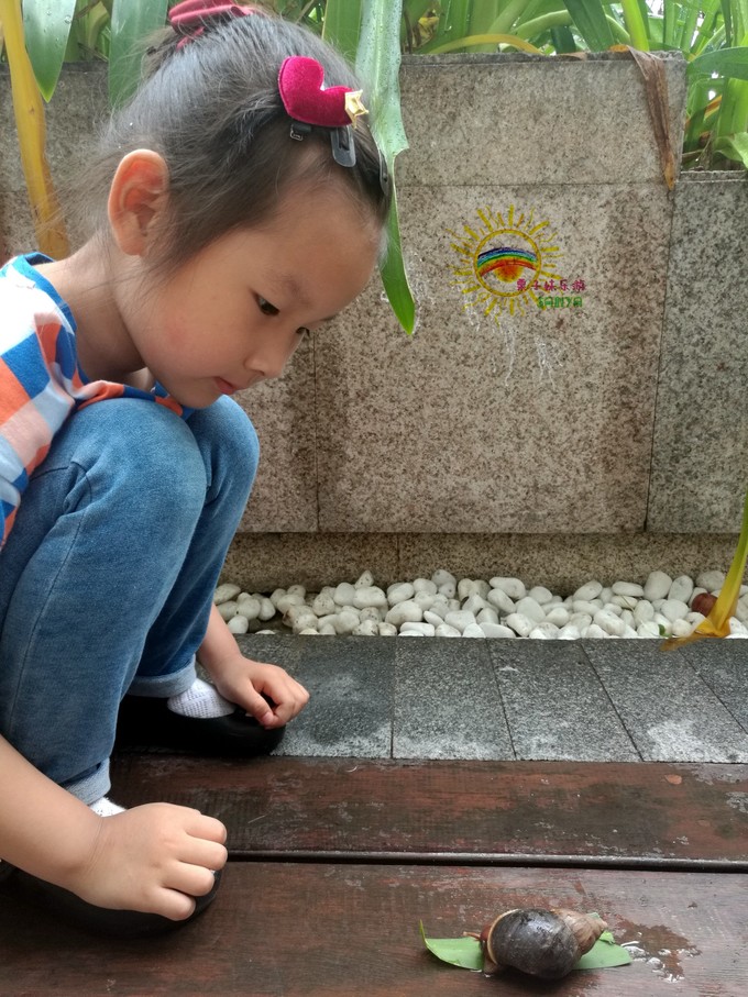 跟着大海去旅行三亚,记录旅行时光娃带老妈三亚看海