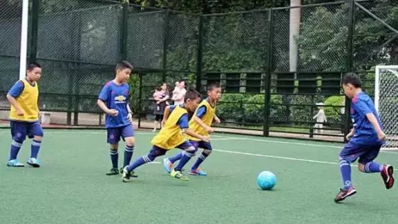 成都2023足球,2023年成都足球