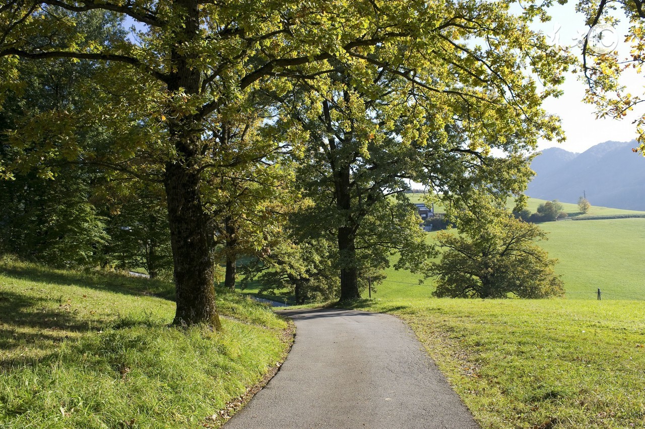 什么叫做凤凰男心态,凤凰男的10个性格特征