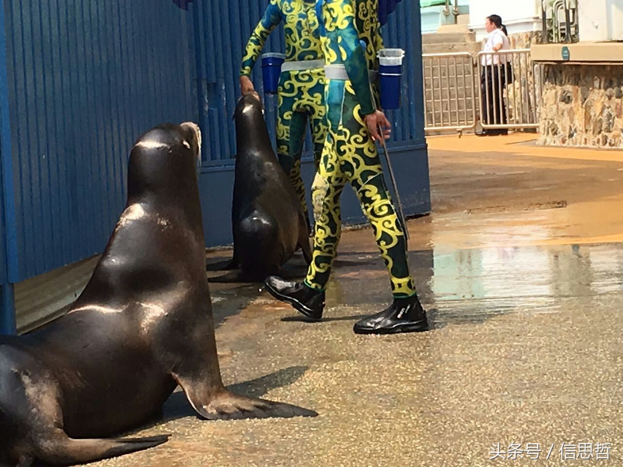 去香港旅游应该去哪玩,去香港旅游攻略最新消息