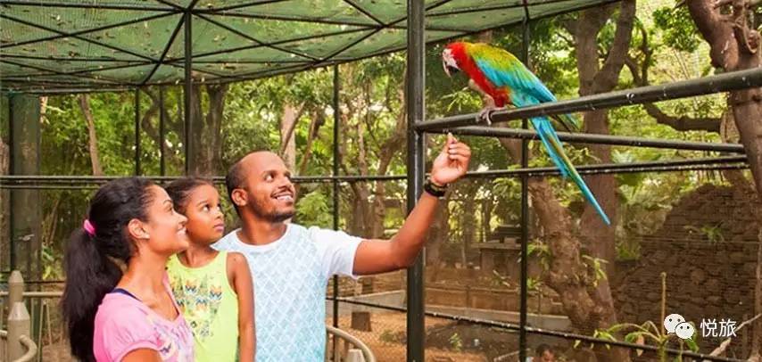 毛里求斯免签,毛里求斯在中国免签停留时间