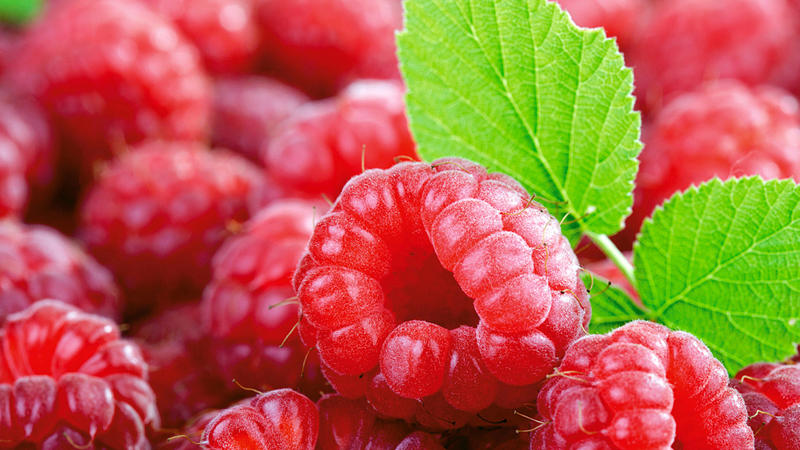 想要吃得更苗条你要记住这些食物,这8种普通食物或让你身材更苗条