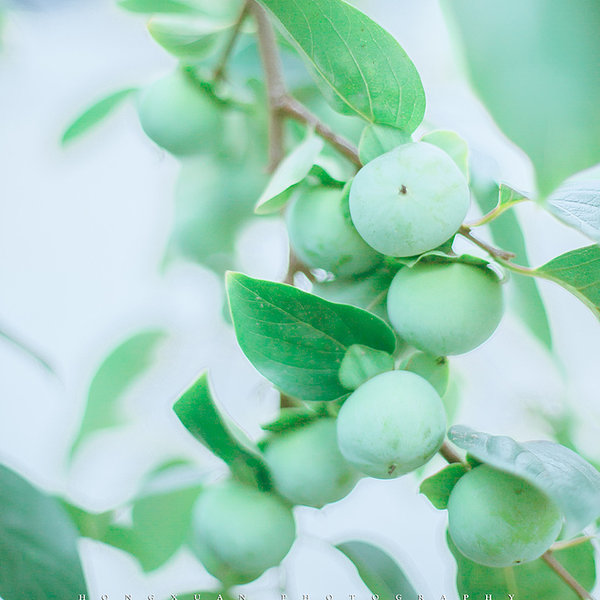 有意思的对联大全集,有深意的对联大全