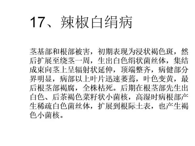 辣椒卷叶病虫害图谱及防治方案,辣椒病虫害大全