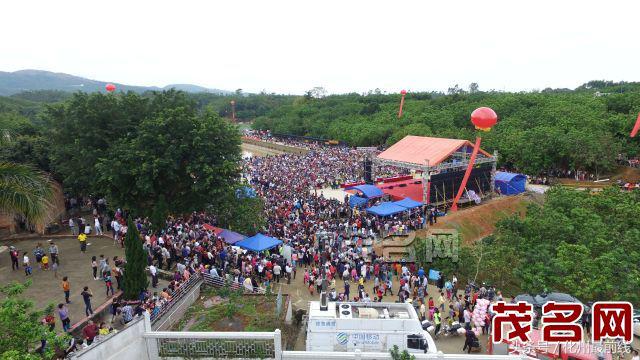 化州平定镇发展,化州市平定镇示范村