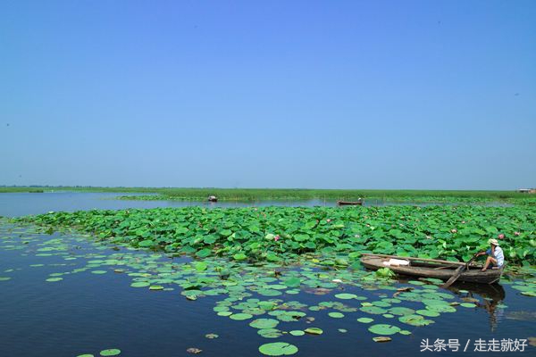 雄安新区白洋淀今日最新消息,雄安白洋淀近况