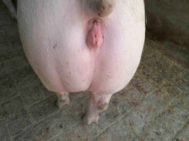 注意三个点怎么都不会刮蹭,注意这三点