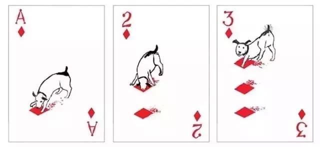 jqk扑克牌,好看的狗狗扑克牌
