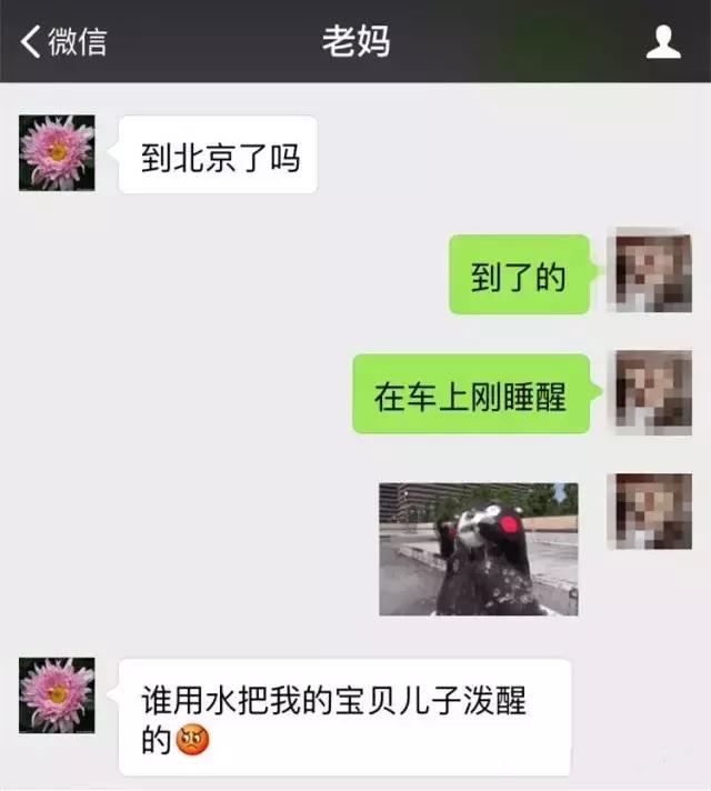 子女和父母有矛盾如何沟通,为什么觉得父母难沟通