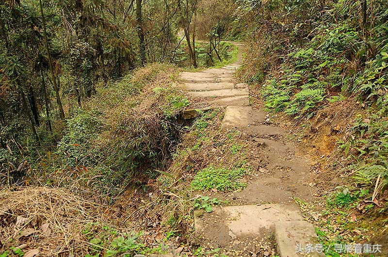 綦江渝黔盐茶古道,探秘鬼传说