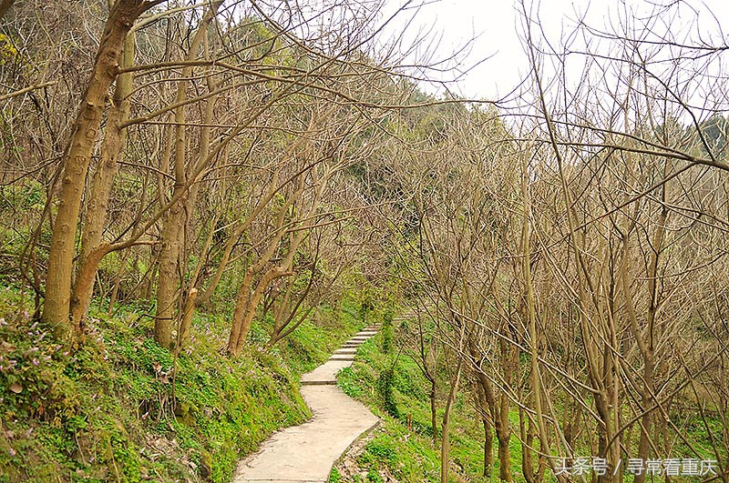 綦江渝黔盐茶古道,探秘鬼传说