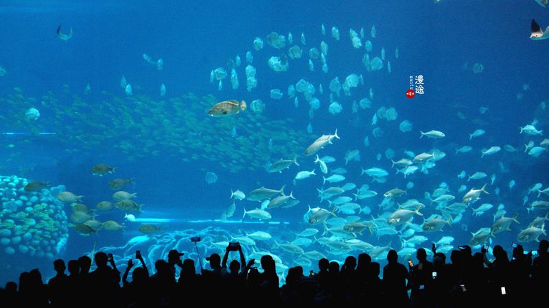 长隆亲子两大两小旅游攻略,珠海长隆横琴湾酒店亲子攻略