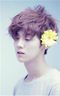 鹿晗勋章歌词壁纸图片,鹿晗关晓彤图片壁纸全屏