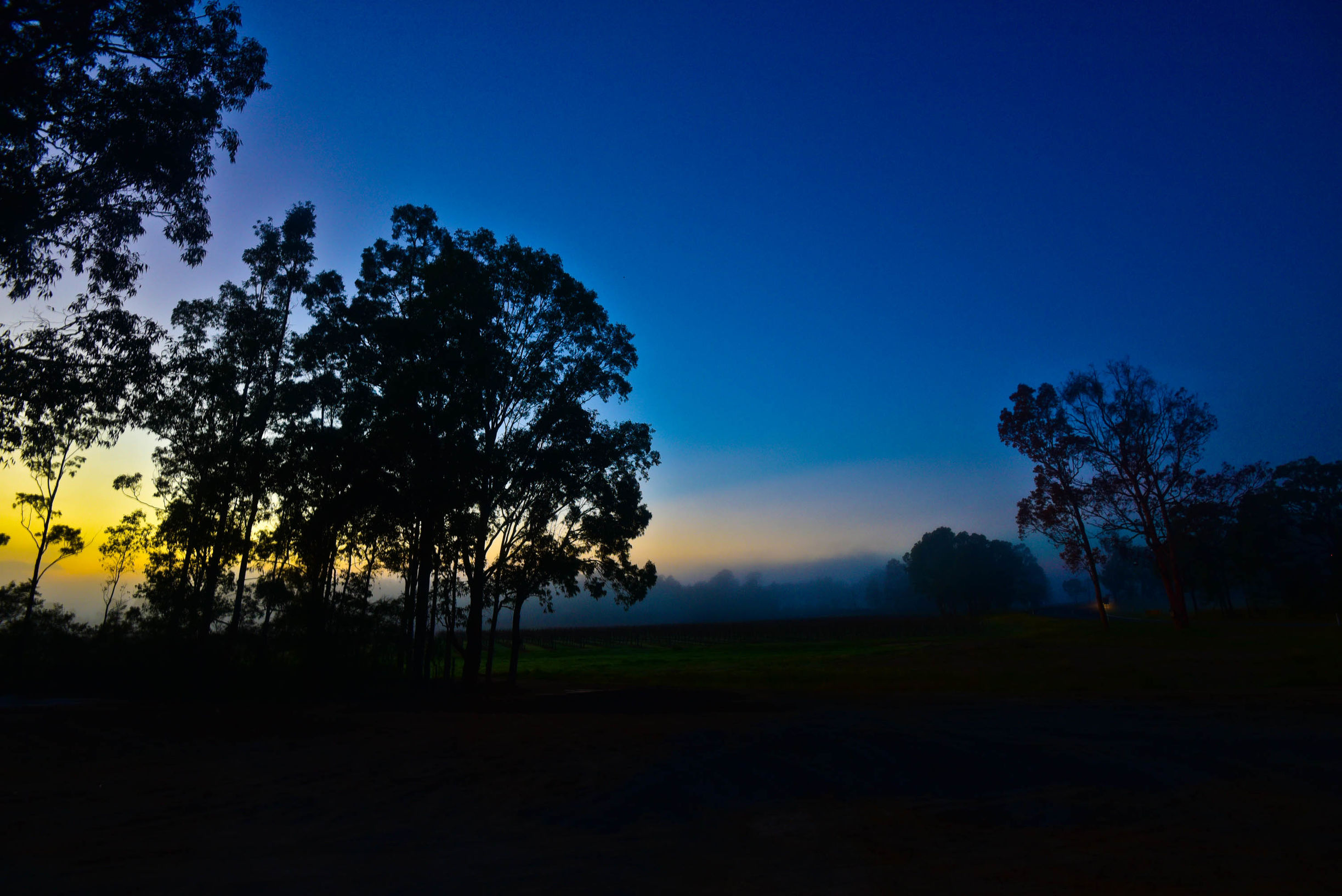 猎人谷热气球,悉尼猎人谷热气球攻略