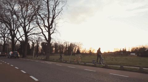 完爆摩拜和小黄车的是……这个荷兰大叔发明的“履带式”走路自行车！