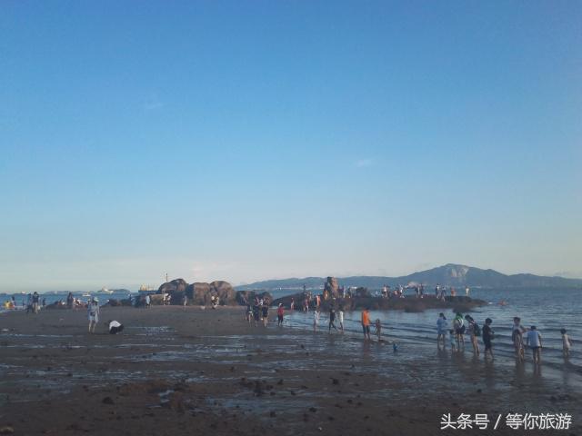 厦门五天四晚最佳攻略,5天4夜的厦门之旅