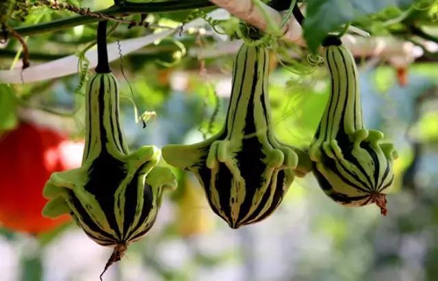 未来创业十大赚钱方法,当今最赚钱的6个创业项目