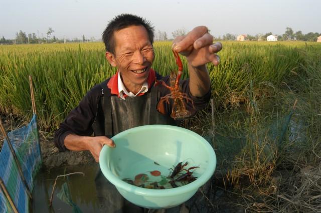 目前农村有什么致富好项目,农村做什么生意赚钱创业项目