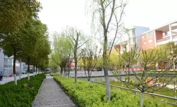 南京南师附中江宁分校校风,南师附中江宁分校排名