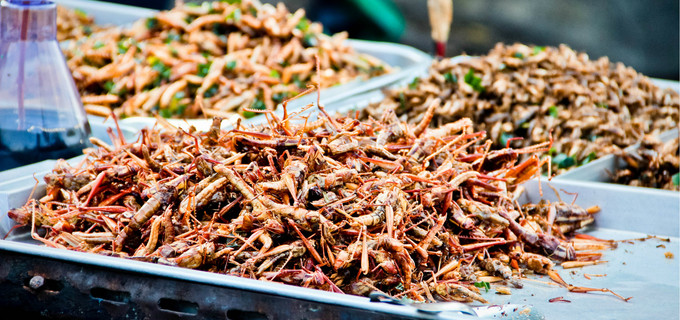 清迈小吃5天不重样,清迈唐人街小吃