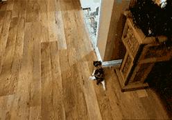 这枪战是游戏还是电影里面的，想去看看完整的