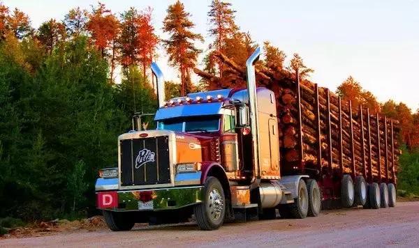 人工智能还有多久超越人类了,人工智能完全超过人类还要多久