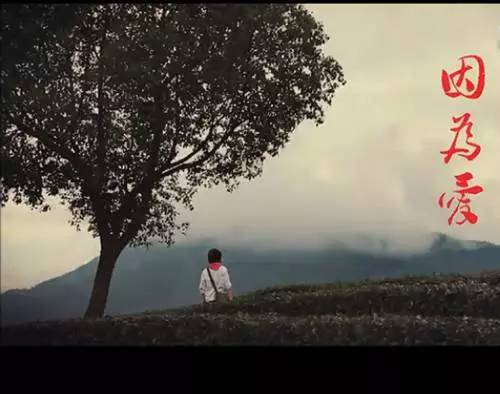 浙江嘉兴中国体育彩票,嘉兴体育彩票店怎么申请