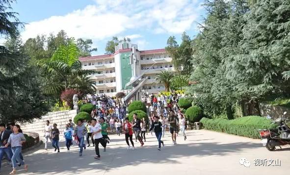 文山州高考考点安排,高考考点公布全部