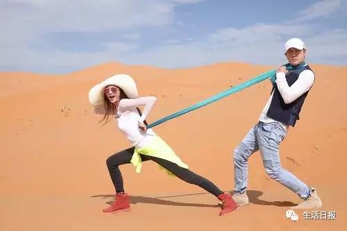 生活早报‖济南拆除百亩违建养牛场，588头奶牛大挪窝