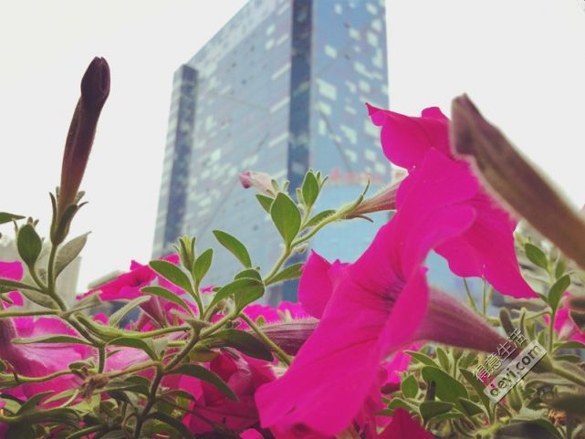 攻略｜感谢老天的不胖之恩，让我肆无忌惮的吃遍西安！3天2夜游，仅需一天假，1小时抵达！