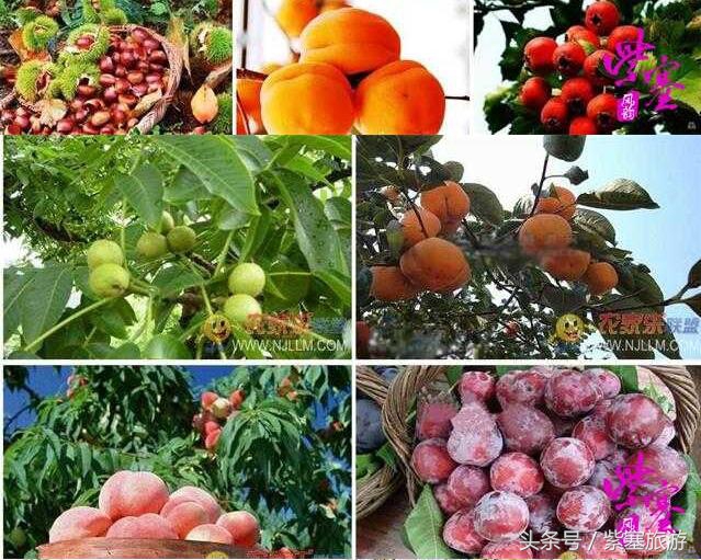 蓟县金马石农家院三日游最佳路线,紫塞京津冀一日游攻略