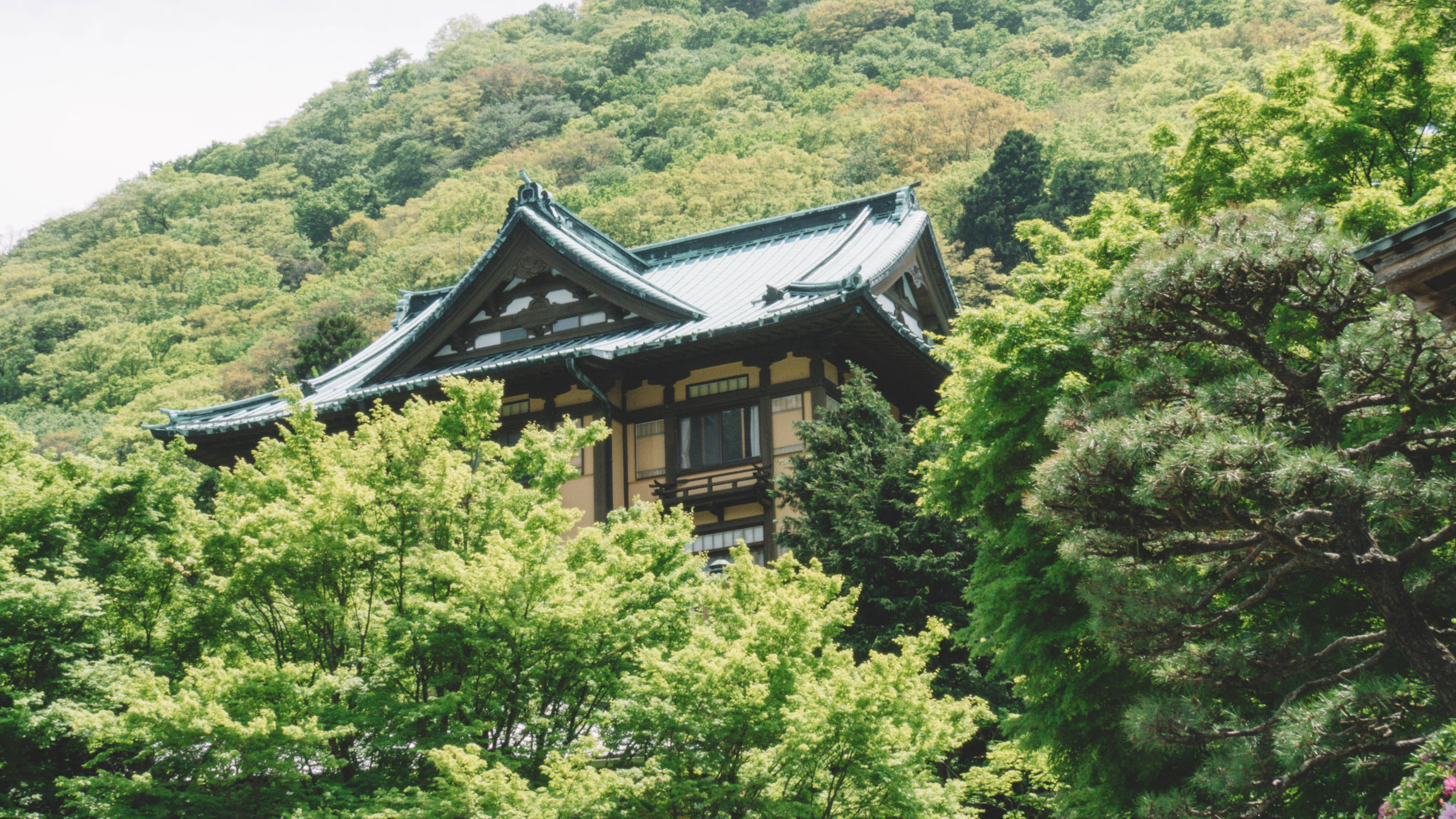东京镰仓横滨旅游攻略,东京镰仓箱根伊豆富士山路线