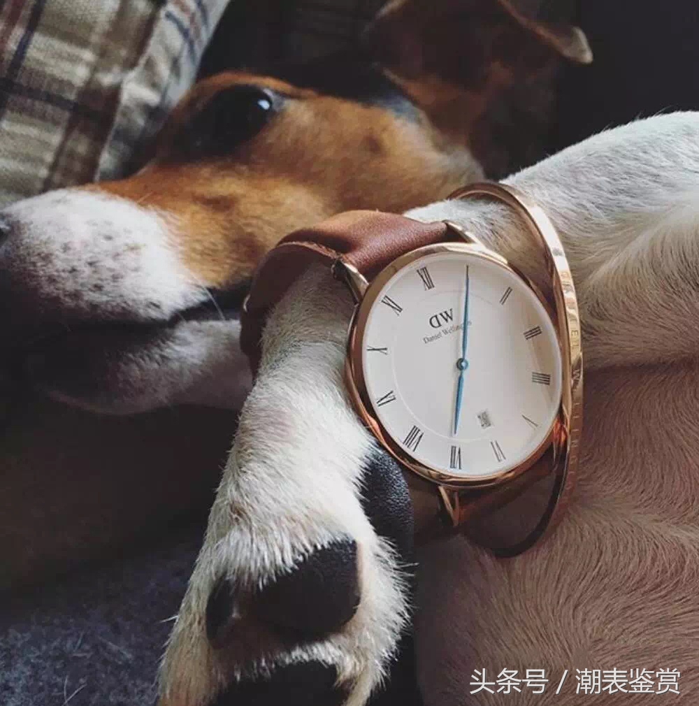 dw手表说明书第四页真假辨别,dw手表怎样验真假