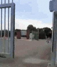 姑娘射个箭这么有风度