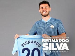 席尔瓦是国际足坛球星的第一大姓，就像你在中国姓李，练习体操更容易成功一样