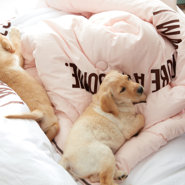 小众精致又实用的礼物推荐,简单又可爱的蓝色系礼物