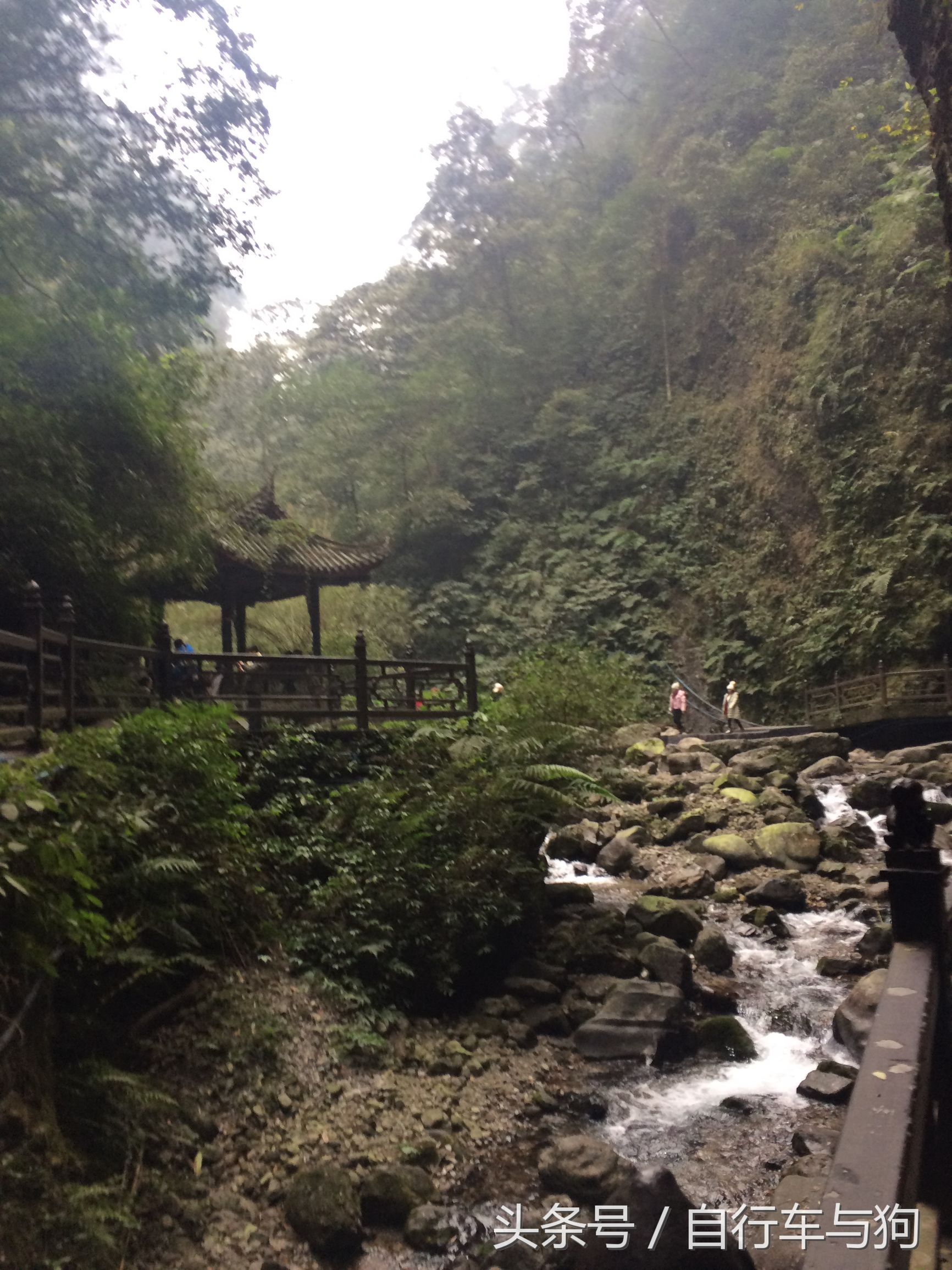 三大家一起游峨眉山,23岁女生独游峨眉山失联