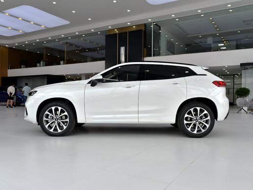 weyvv7哪款好,weyvv7真实优缺点