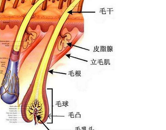 祛痘很多次都不见效,祛痘一瓶搞定