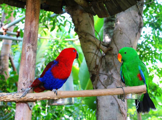 涓変簹澶╂动娴疯鏃呮父鏀荤暐,涓変簹澶╂动娴疯椋庢櫙瑙嗛