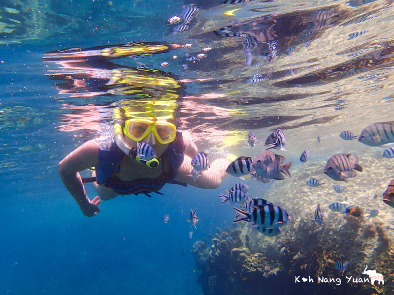 毕业旅行最值得去的,适合毕业旅行的10个目的地