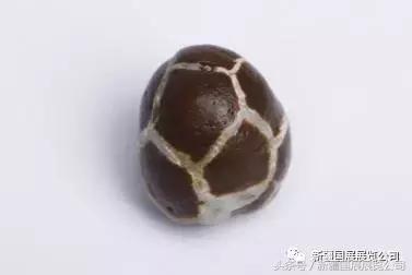 石博会完整视频,2019奇石石博会视频