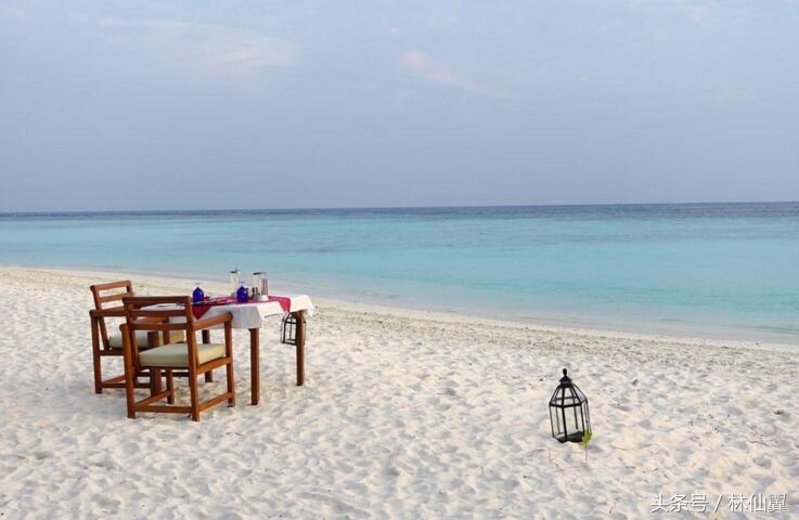 马尔代夫吃得最好的岛,马尔代夫哪个岛最好玩儿