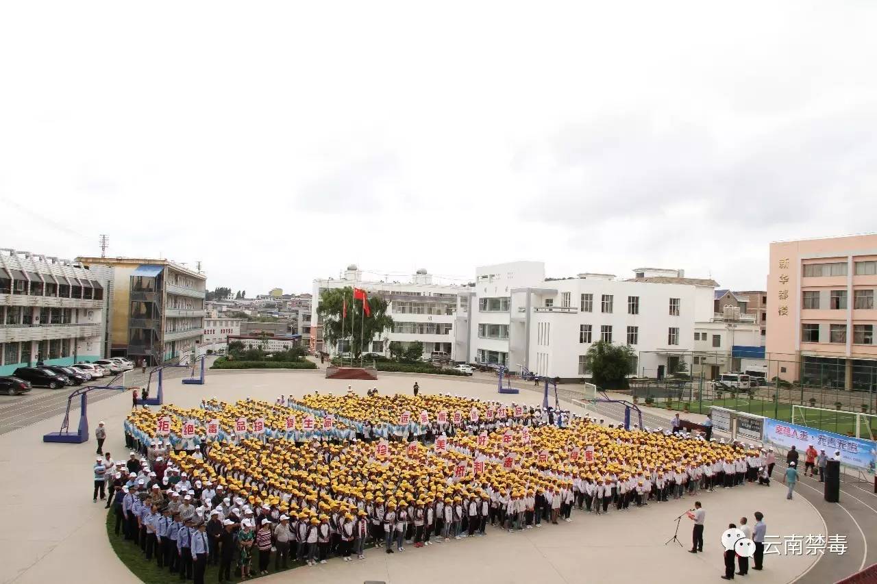 两千余人参与，泸西开展“6.26”国际禁毒日主题宣传活动