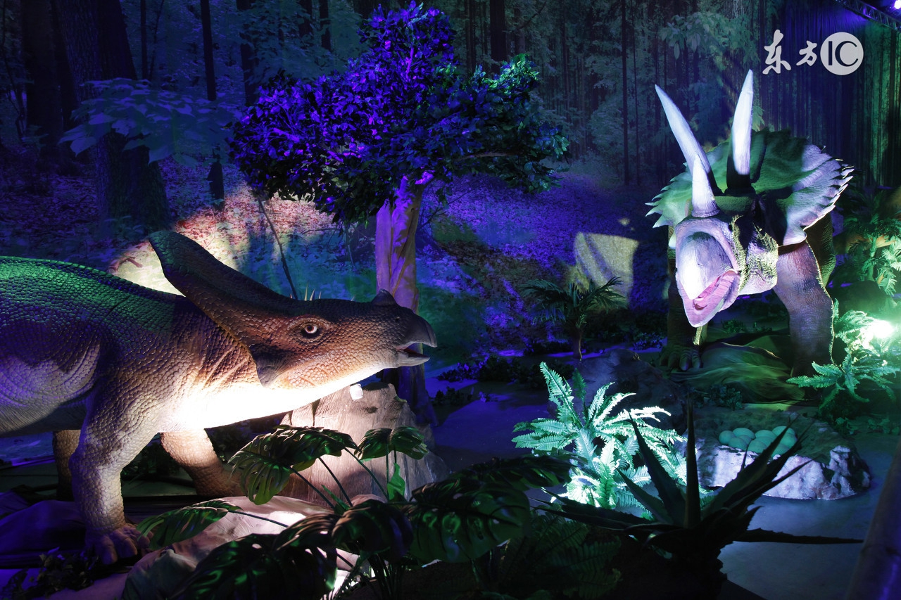 恐龙是如何灭绝的动画,恐龙是如何灭绝的搞笑